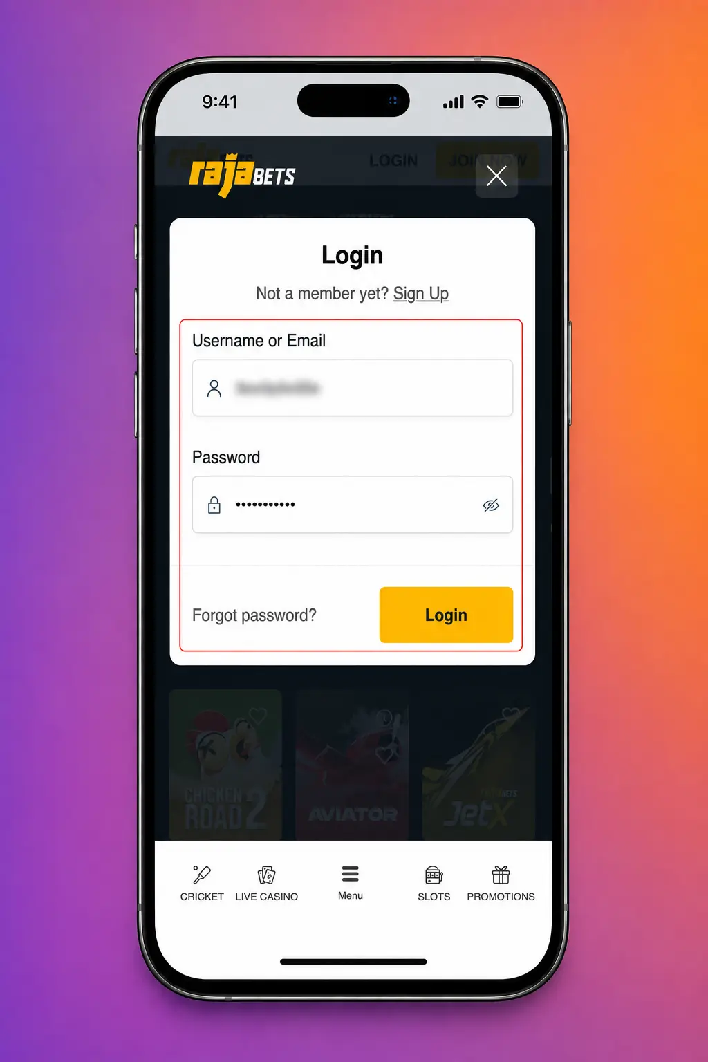 Account verification documents and ID check